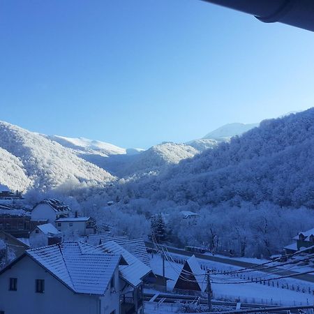 Bed and Breakfast Std Cvetkovic Crni Vrh Exterior foto
