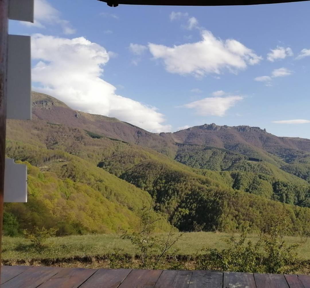 Bed and Breakfast Std Cvetkovic Crni Vrh Exterior foto