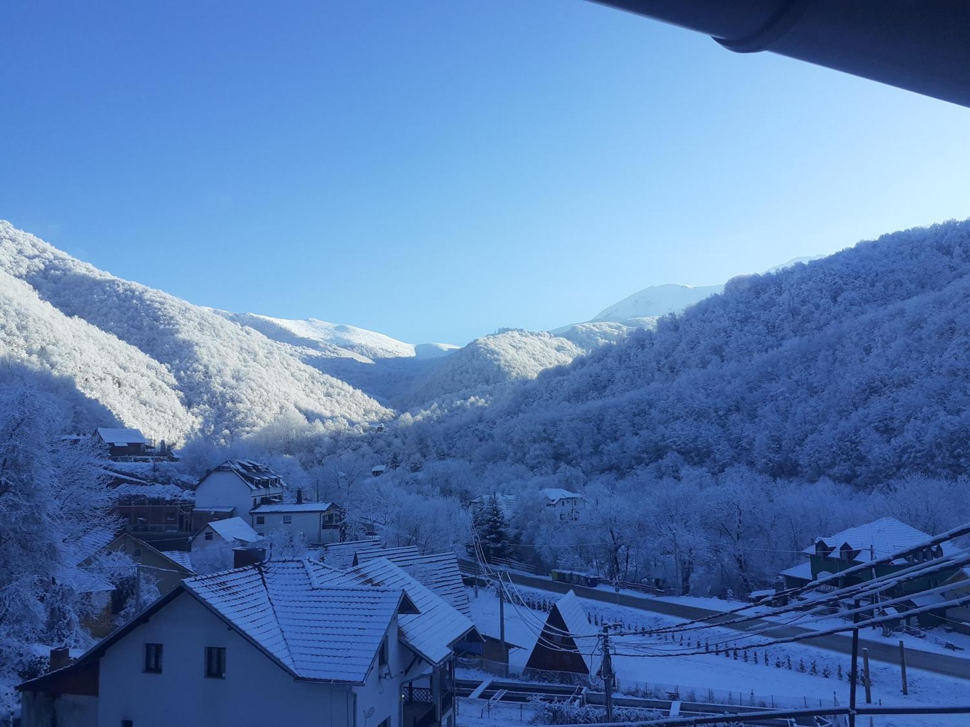 Bed and Breakfast Std Cvetkovic Crni Vrh Exterior foto